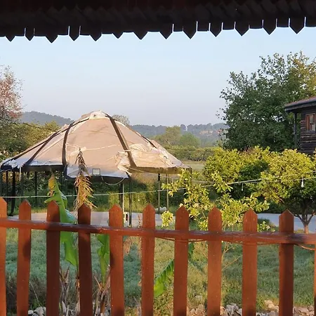Bed & Breakfast Papaya A-4 *
