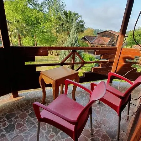 Papaya A-4 Bed & Breakfast
