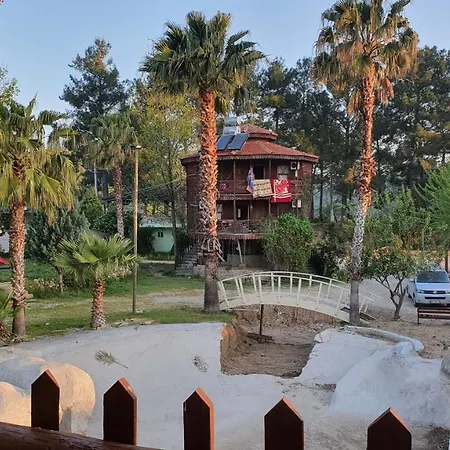 Papaya A-4 Bed & Breakfast